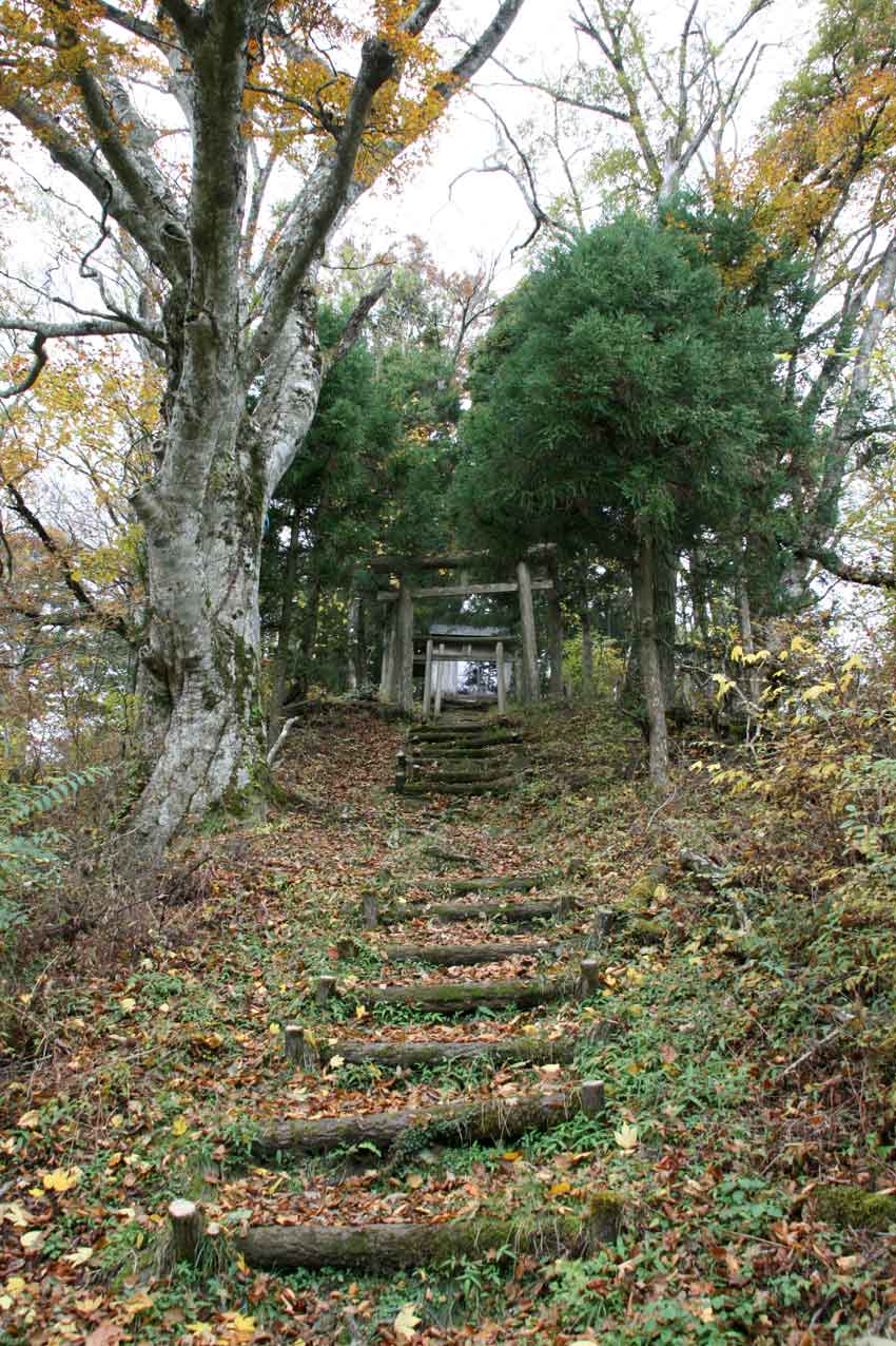 高越神社「奥の院」♪　「こうつウォーク」番外編♪_d0058941_203529100.jpg