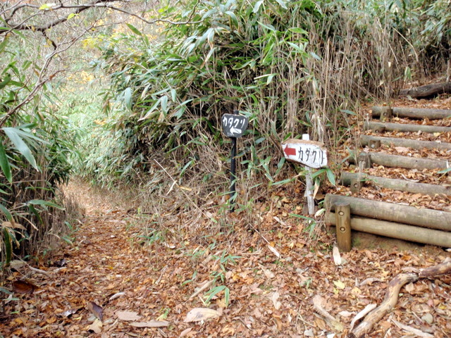 雁俣山　標高1315ｍと五家荘の紅葉_b0168843_10224848.jpg