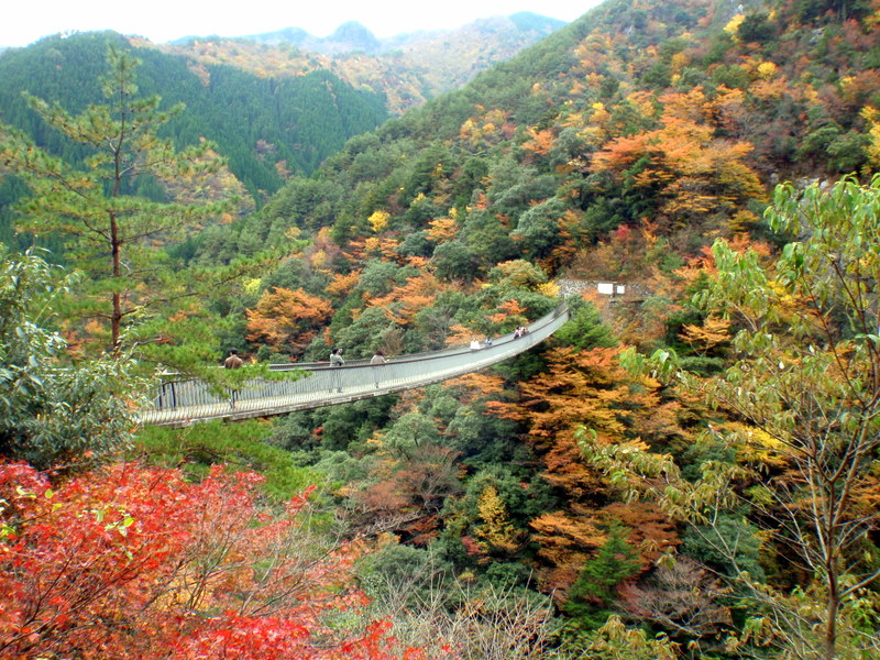 雁俣山　標高1315ｍと五家荘の紅葉_b0168843_10234180.jpg