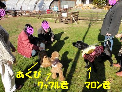 山中湖~走って♪泳いで♪その3_e0195743_12223983.jpg
