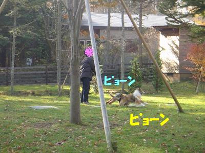 山中湖~走って♪泳いで♪その3_e0195743_1327113.jpg