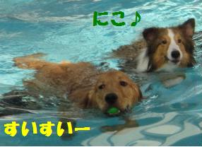 山中湖~泳いで♪泳いで♪その4最終回_e0195743_23521358.jpg