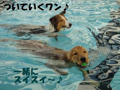 山中湖~泳いで♪泳いで♪その4最終回_e0195743_23522980.jpg