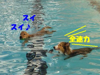 山中湖~泳いで♪泳いで♪その4最終回_e0195743_23531262.jpg