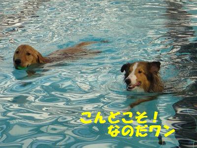 山中湖~泳いで♪泳いで♪その4最終回_e0195743_23552915.jpg