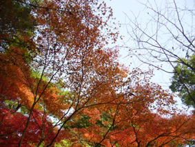 広島へ。_e0035344_21282262.jpg