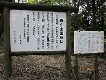 d0048350_19443890.jpg