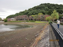 d0048350_19513489.jpg