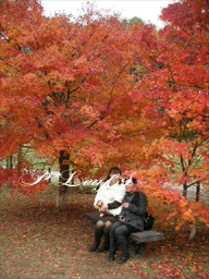 c0176651_15372294.gif
