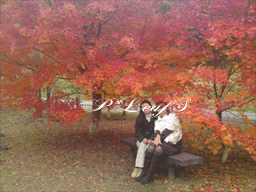 c0176651_15373629.gif