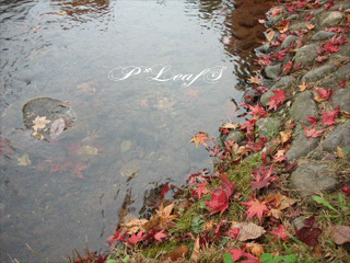 c0176651_1542742.gif