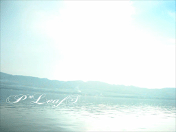 c0176651_1632648.gif