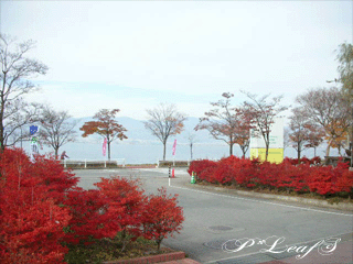 c0176651_1672321.gif