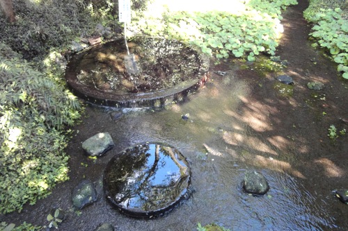 f0054859_204740100.jpg