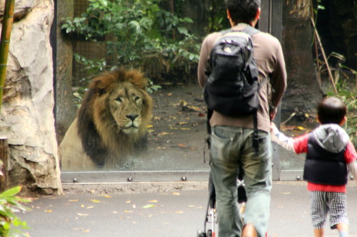 動物園は朝一番が_e0086860_02982.jpg