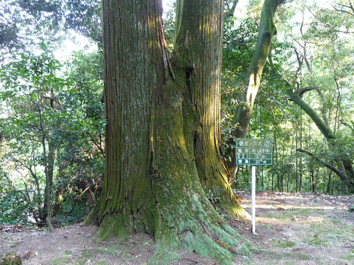 安産・子育てにご利益（子安大師）四国八十八カ書61番_e0165472_2241098.jpg