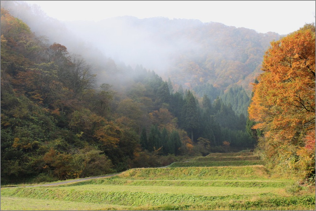  ☆　福井県池田町へ　☆_f0181173_13423360.jpg