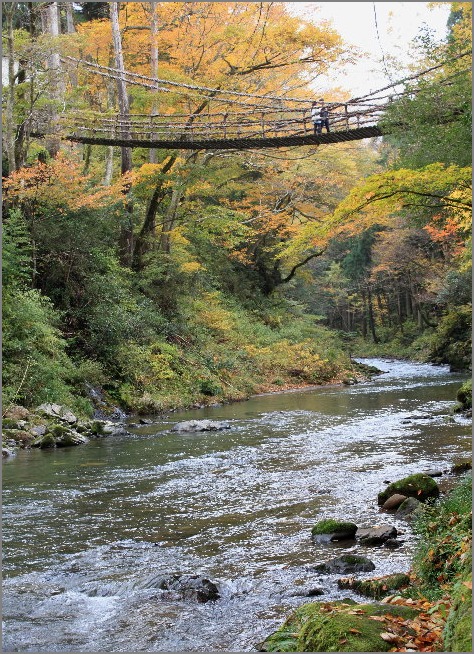  ☆　福井県池田町へ　☆_f0181173_13522457.jpg