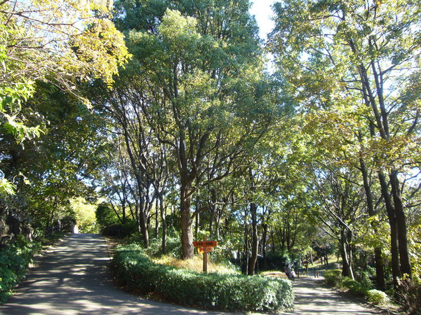 舞岡公園_b0184974_735440.jpg