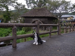 f0030875_1162862.jpg