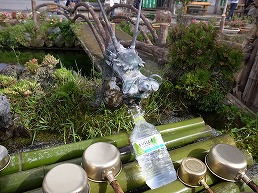 f0030875_124234.jpg