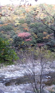 c0228378_734053.jpg