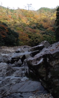 c0228378_734059.jpg