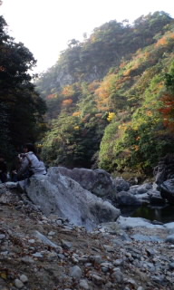 c0228378_73407.jpg