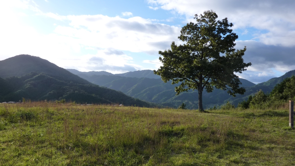 b0029688_21497.jpg