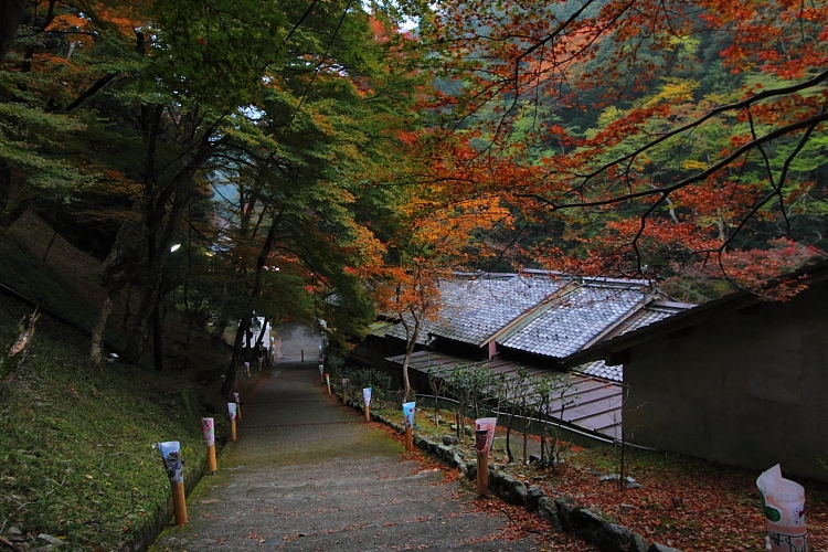 紅葉の高雄 ~神護寺~_e0051888_22451299.jpg