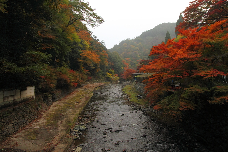 紅葉の高雄 ~神護寺~_e0051888_22453664.jpg