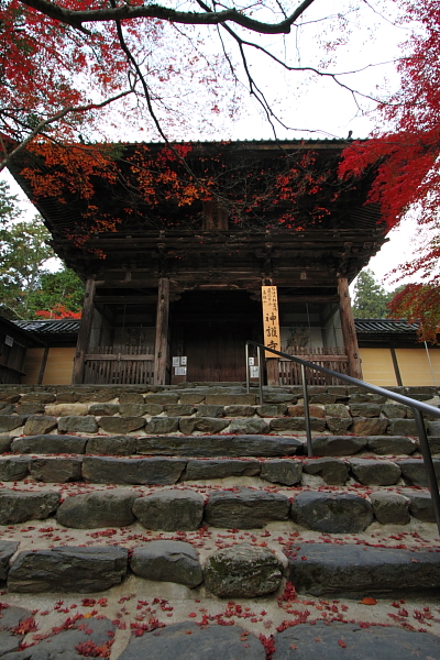 紅葉の高雄 ~神護寺~_e0051888_22462710.jpg