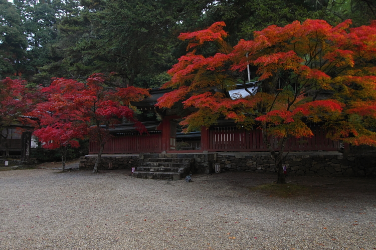 紅葉の高雄 ~神護寺~_e0051888_2247554.jpg