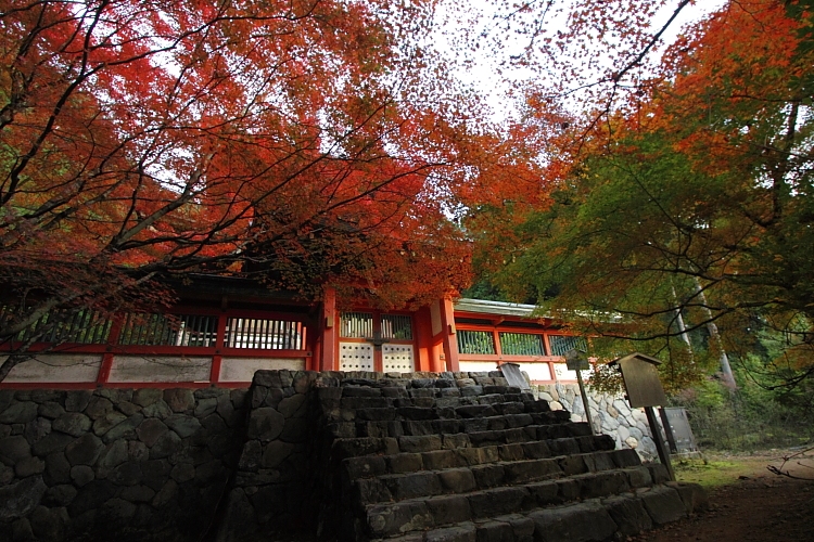 紅葉の高雄 ~神護寺~_e0051888_22475933.jpg