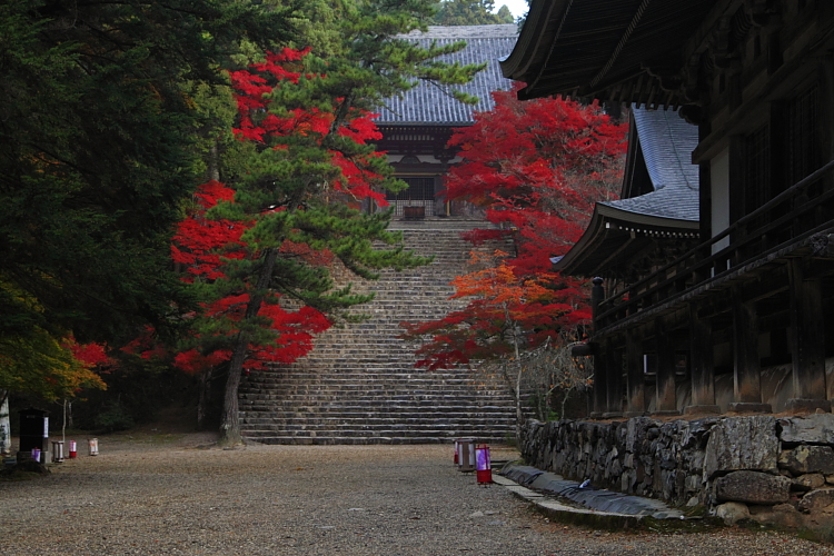 紅葉の高雄 ~神護寺~_e0051888_22481766.jpg