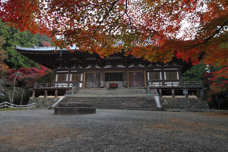 紅葉の高雄 ~神護寺~_e0051888_22483095.jpg