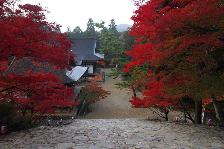 紅葉の高雄 ~神護寺~_e0051888_22485078.jpg