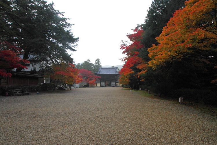 紅葉の高雄 ~神護寺~_e0051888_22491069.jpg