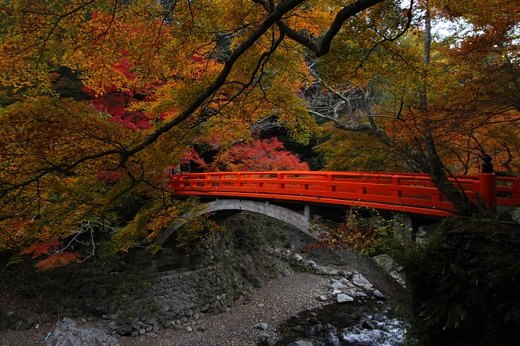 紅葉の高雄 ~西明寺~_e0051888_22523991.jpg