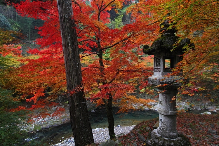 紅葉の高雄 ~西明寺~_e0051888_22531917.jpg