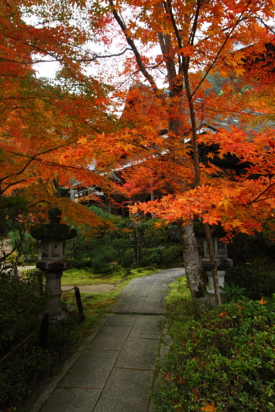 紅葉の高雄 ~西明寺~_e0051888_22542567.jpg