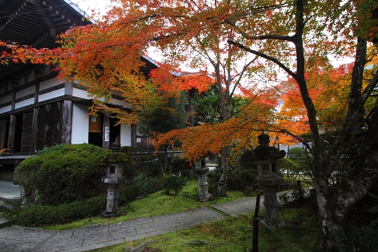 紅葉の高雄 ~西明寺~_e0051888_22545075.jpg