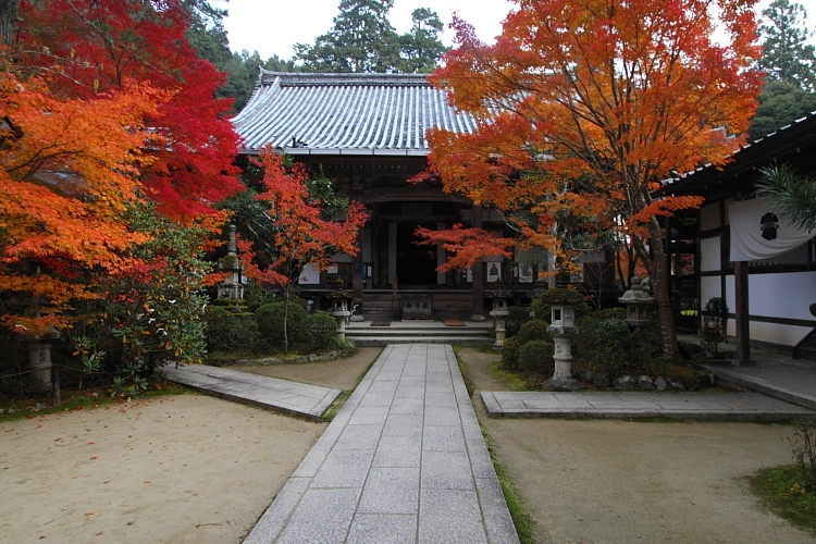 紅葉の高雄 ~西明寺~_e0051888_2254618.jpg