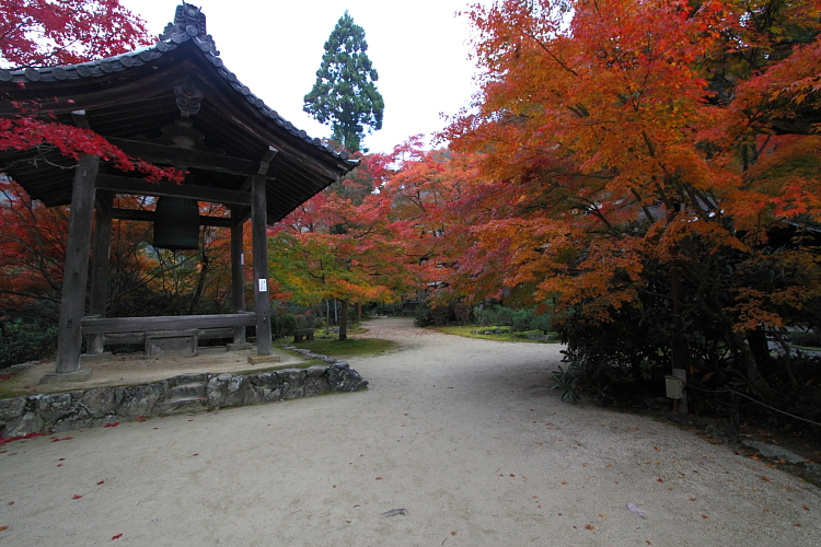 紅葉の高雄 ~西明寺~_e0051888_2255202.jpg