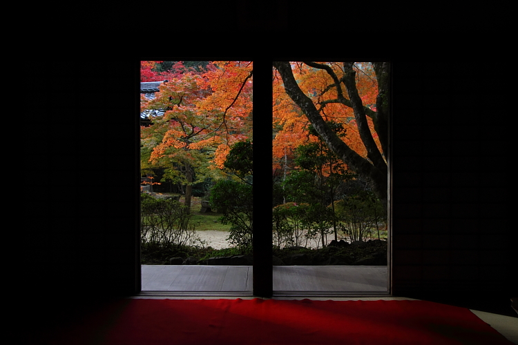 紅葉の高雄 ~西明寺~_e0051888_2256859.jpg