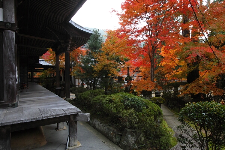 紅葉の高雄 ~西明寺~_e0051888_22571416.jpg