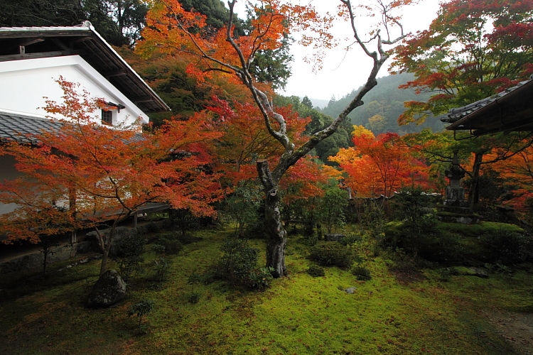 紅葉の高雄 ~西明寺~_e0051888_22573016.jpg
