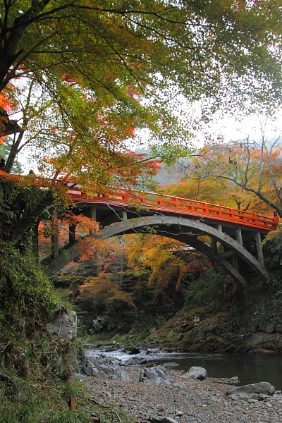 紅葉の高雄 ~西明寺~_e0051888_2258553.jpg
