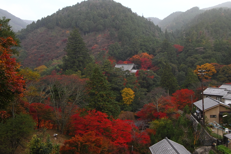 紅葉の高雄 ~西明寺~_e0051888_2259493.jpg