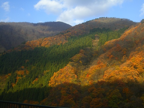 a0138198_14381572.jpg